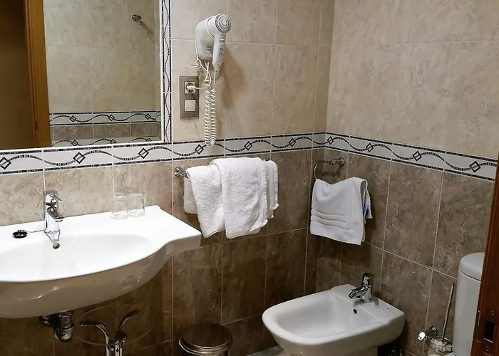 호텔 Reina Isabel 메디나델캄포