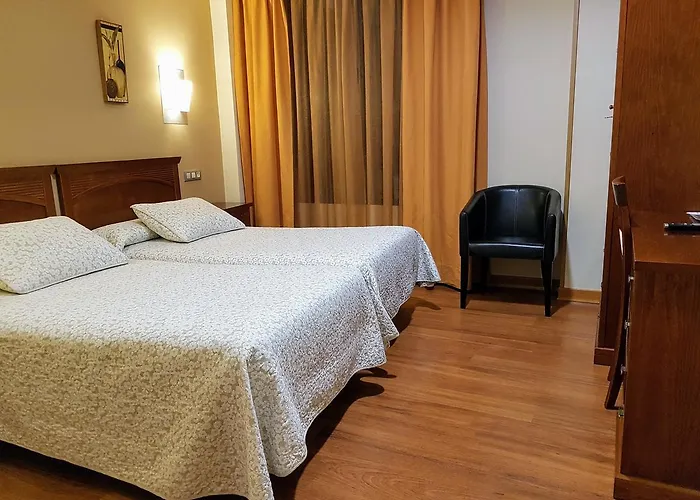 호텔 Reina Isabel 메디나델캄포