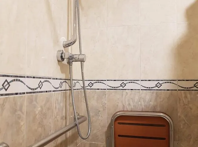 호텔 Reina Isabel 메디나델캄포